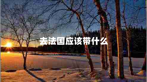 去法國應該帶什么