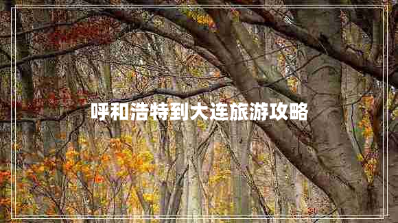 呼和浩特到大連旅游攻略