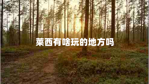 萊西有啥玩的地方嗎 萊西有啥玩的地方嗎