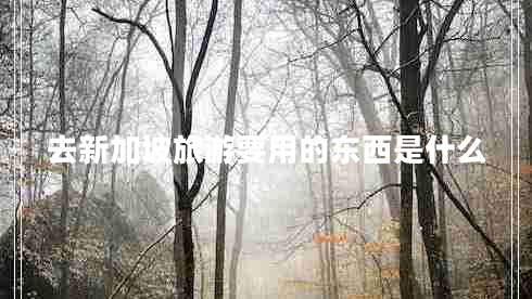 去新加坡旅游要用的東西是什么