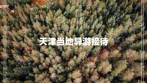 天津當(dāng)?shù)貙?dǎo)游接待