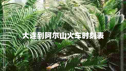 大連到阿爾山火車時刻表 大連到阿爾山火車時刻表