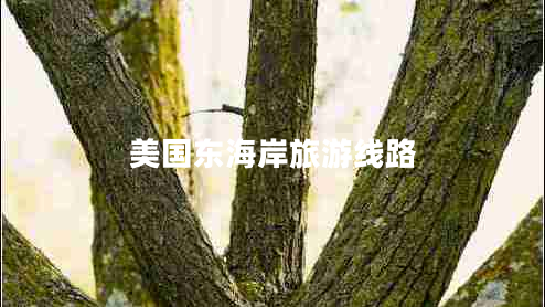 美國東海岸旅游線路