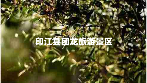 印江縣團(tuán)龍旅游景區(qū) 印江縣團(tuán)龍旅游景區(qū)