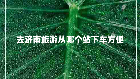 去濟(jì)南旅游從哪個站下車方便