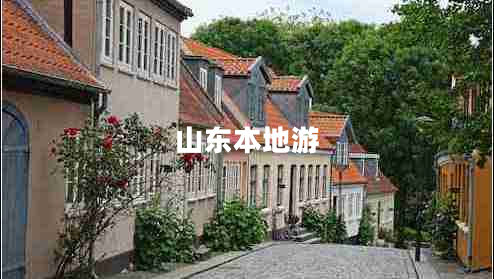 山東本地游