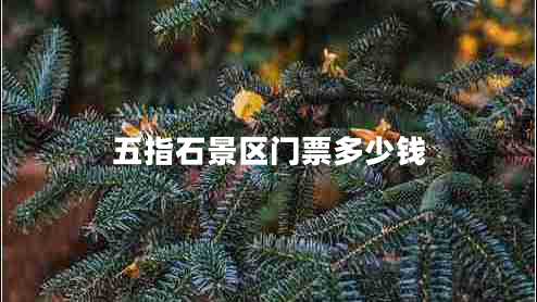 五指石景區(qū)門票多少錢