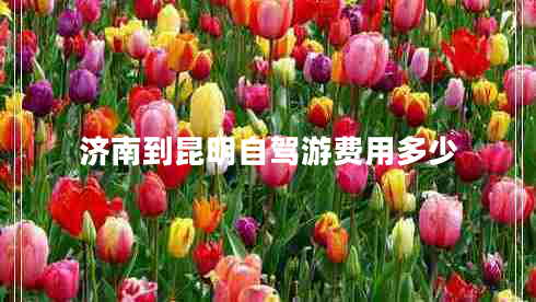 濟南到昆明自駕游費用多少 濟南到昆明自駕游費用多少