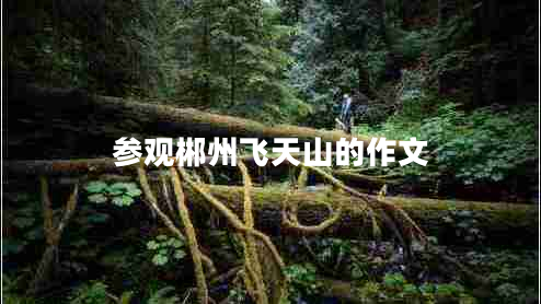 參觀郴州飛天山的作文 參觀郴州飛天山的作文