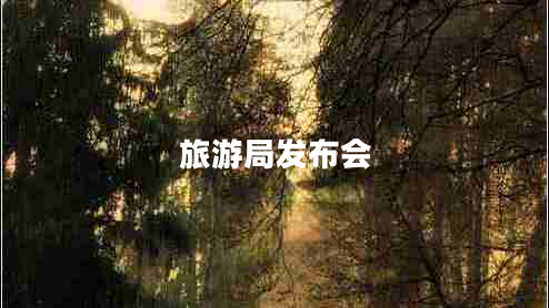 旅游局發(fā)布會
