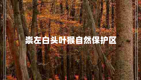 崇左白頭葉猴自然保護區(qū)