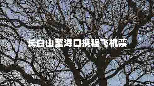 長白山至?？跀y程飛機(jī)票