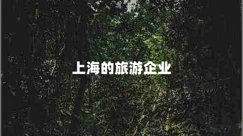 上海的旅游企業(yè)
