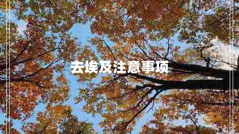 去埃及注意事項(xiàng)