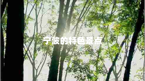 寧波的特色景點(diǎn) 寧波的特色景點(diǎn)