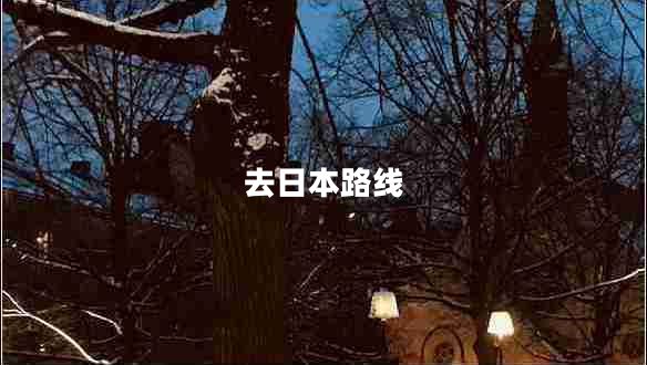 去日本路線