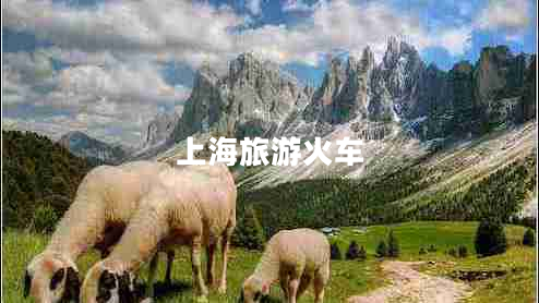 上海旅游火車(chē)