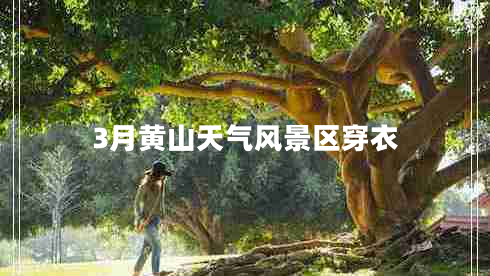 3月黃山天氣風景區(qū)穿衣
