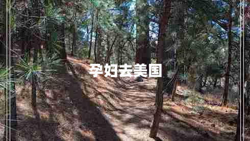 孕婦去美國 孕婦去美國