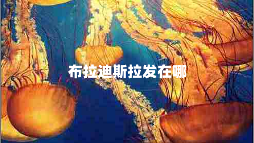 布拉迪斯拉發(fā)在哪 布拉迪斯拉發(fā)在哪