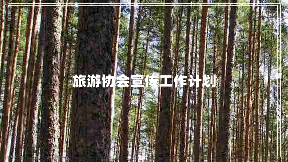 旅游協(xié)會宣傳工作計劃