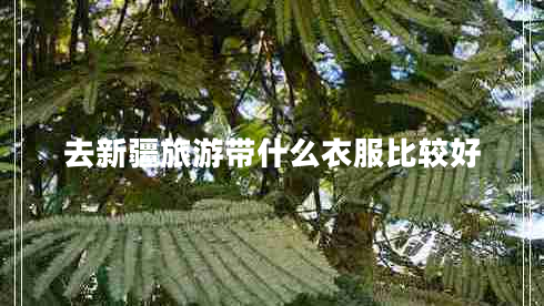 去新疆旅游帶什么衣服比較好 去新疆旅游帶什么衣服比較好