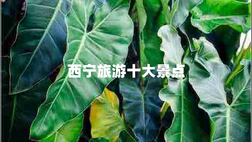 西寧旅游十大景點 西寧旅游十大景點