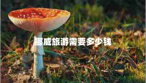 挪威旅游需要多少錢 挪威旅游需要多少錢