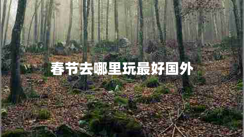 春節(jié)去哪里玩最好國外