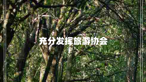 充分發(fā)揮旅游協(xié)會