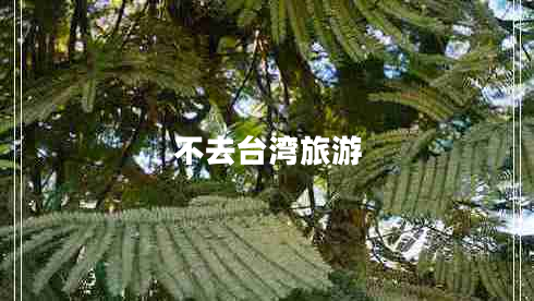 不去臺灣旅游