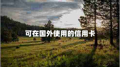 可在國外使用的信用卡