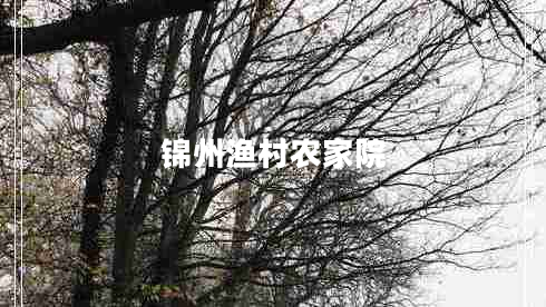 錦州漁村農(nóng)家院 錦州漁村農(nóng)家院