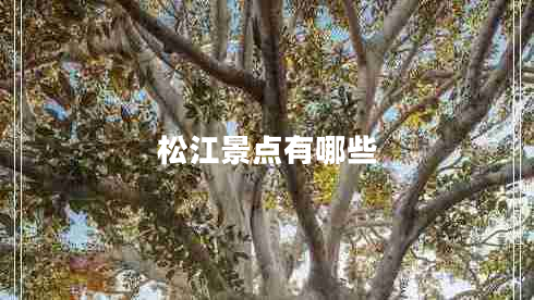 松江景點(diǎn)有哪些