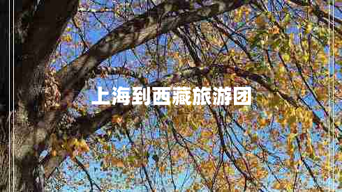 上海到西藏旅游團(tuán) 上海到西藏旅游團(tuán)