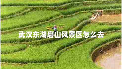武漢東湖磨山風景區(qū)怎么去 武漢東湖磨山風景區(qū)怎么去