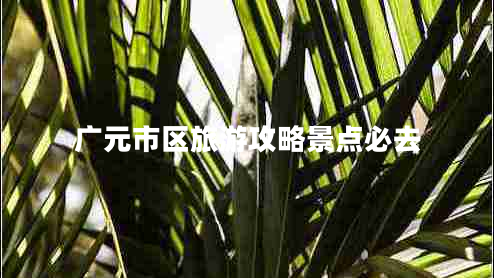 廣元市區(qū)旅游攻略景點必去