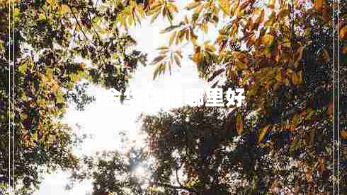 金華住宿哪里好