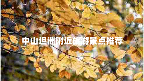 中山坦洲附近旅游景點推薦