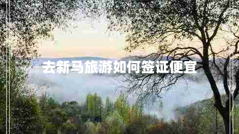 去新馬旅游如何簽證便宜 去新馬旅游如何簽證便宜