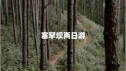 塞罕壩兩日游 塞罕壩兩日游