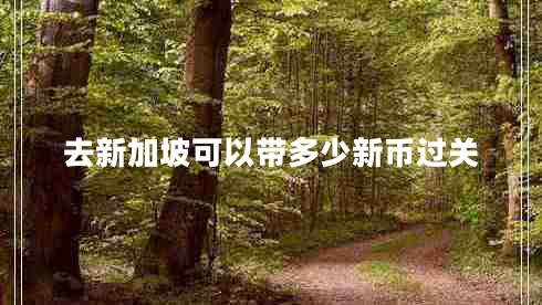 去新加坡可以帶多少新幣過關(guān)