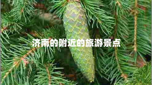 濟(jì)南的附近的旅游景點(diǎn)