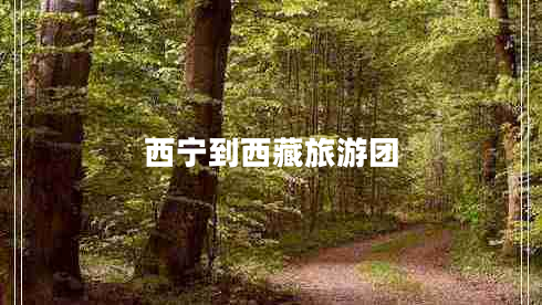 西寧到西藏旅游團(tuán)