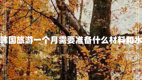 去韓國旅游一個(gè)月需要準(zhǔn)備什么材料和水果