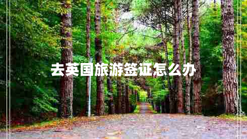 去英國(guó)旅游簽證怎么辦