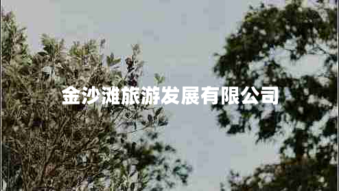 金沙灘旅游發(fā)展有限公司 金沙灘旅游發(fā)展有限公司