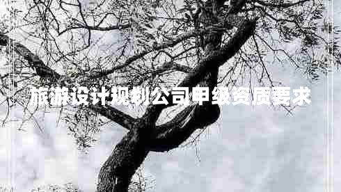 旅游設(shè)計(jì)規(guī)劃公司甲級(jí)資質(zhì)要求 旅游設(shè)計(jì)規(guī)劃公司甲級(jí)資質(zhì)要求