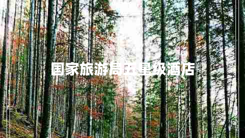 國(guó)家旅游局五星級(jí)酒店 國(guó)家旅游局五星級(jí)酒店