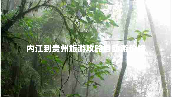 內(nèi)江到貴州旅游攻略自助游價(jià)格